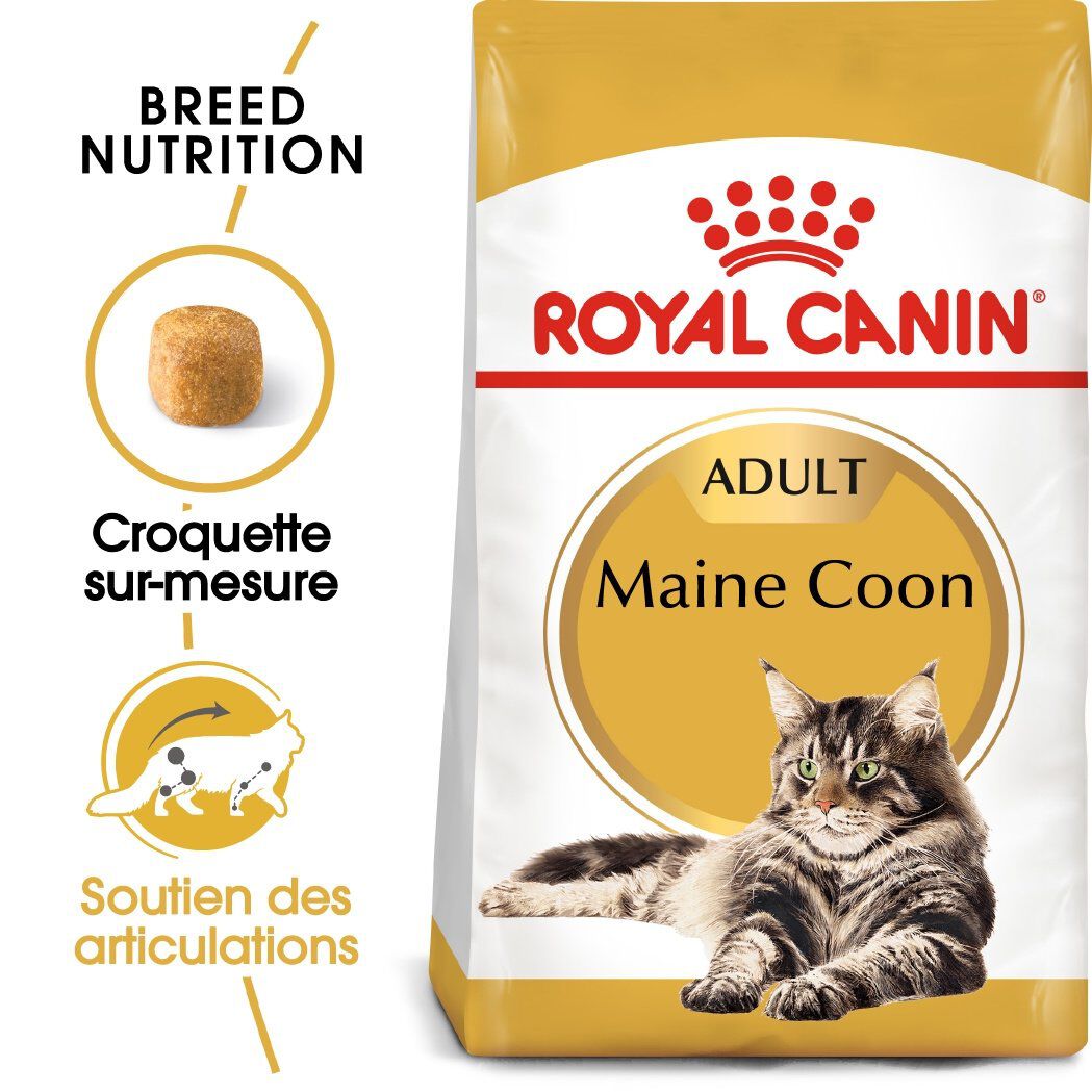 Royal Canin - Croquettes Maine Coon pour Chat Adulte - 2Kg Image num&eacute;ro 3