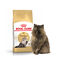 Royal Canin - Croquettes Persian pour Chat Adulte &agrave; partir de 12 Mois - 400g Indicateur image num&eacute;ro 2