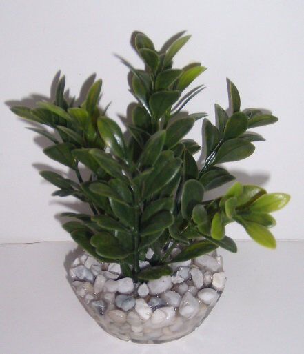 D&eacute;coration Plante en Plastique Massif Algue Assorti Image num&eacute;ro 1