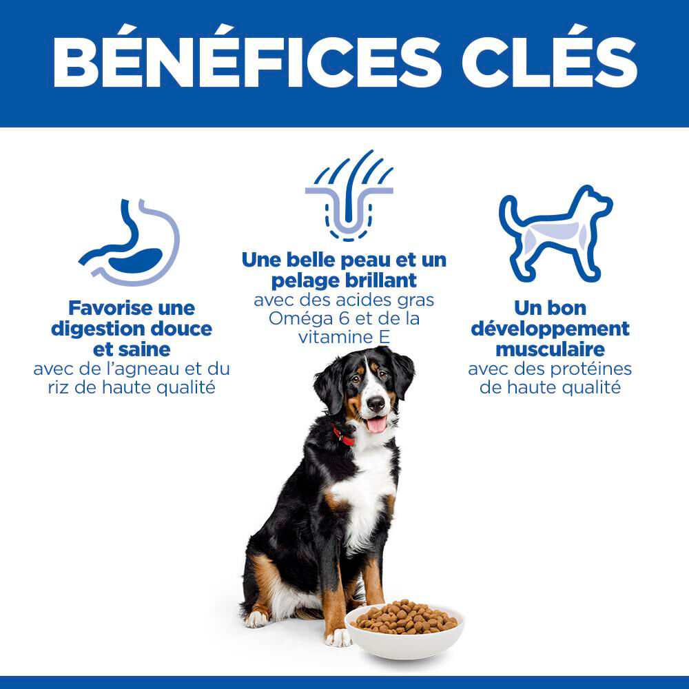 Hill's Science Plan - Adult Croquettes Pour Grand Chien A L'agneau Et Riz  - 12kg Image num&eacute;ro 7
