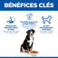 Hill's Science Plan - Adult Croquettes Pour Grand Chien A L'agneau Et Riz  - 12kg Indicateur image num&eacute;ro 7