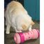 Pipolino - Jouet Distributeur de Croquettes PIPOLINO M pour Chats - Tricolore Indicateur image numéro 3