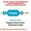 Royal Canin - Croquettes Chihuahua Junior pour Chiot - 1,5Kg Indicateur image numéro 3