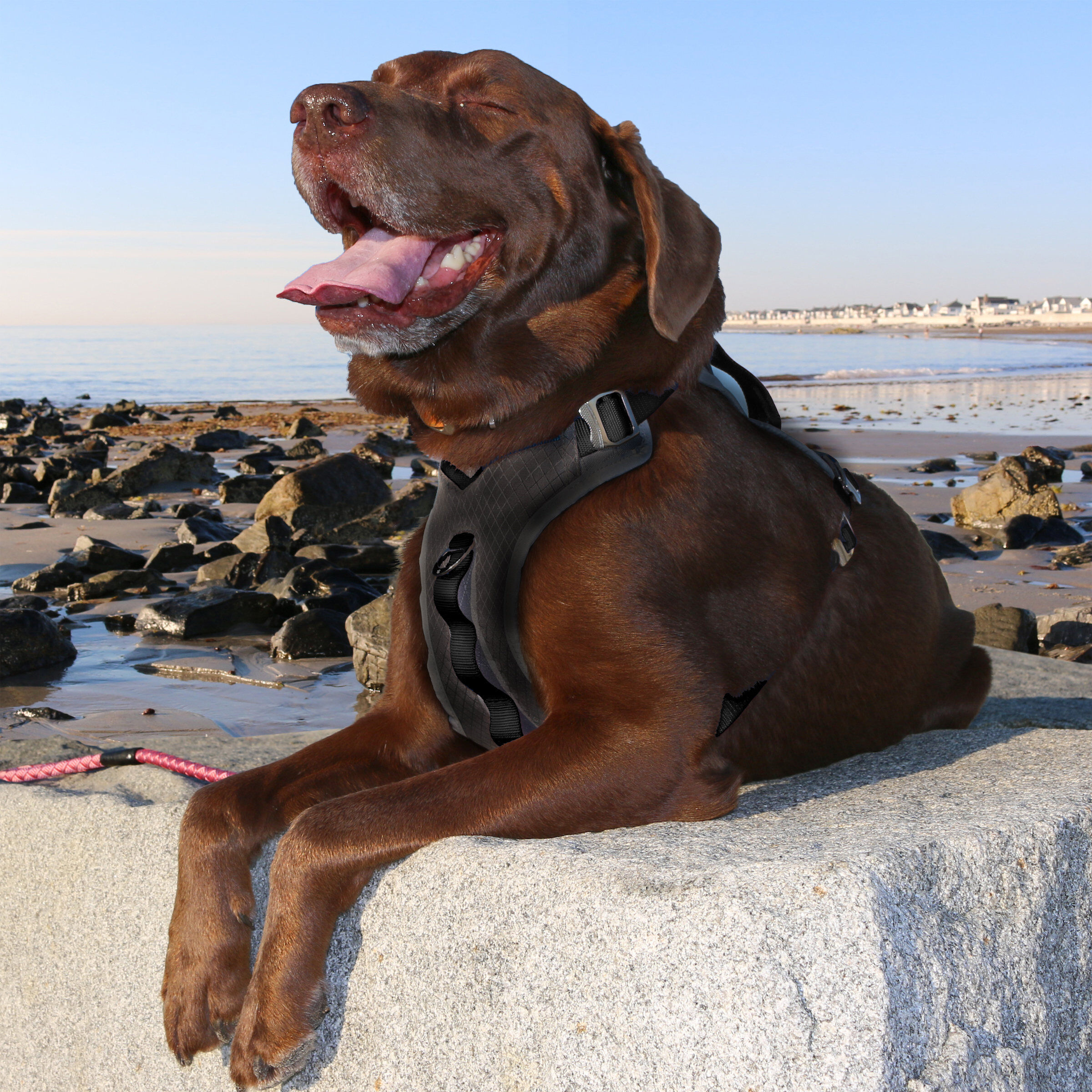 Kurgo - Harnais "Journey Air" Noir pour Chiens - M Image num&eacute;ro 2