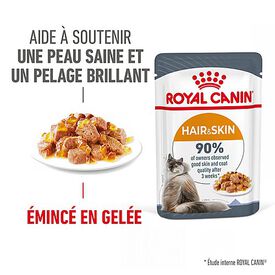 Royal Canin - Sachets Hair&Skin Gelée pour Chat - 12x85g