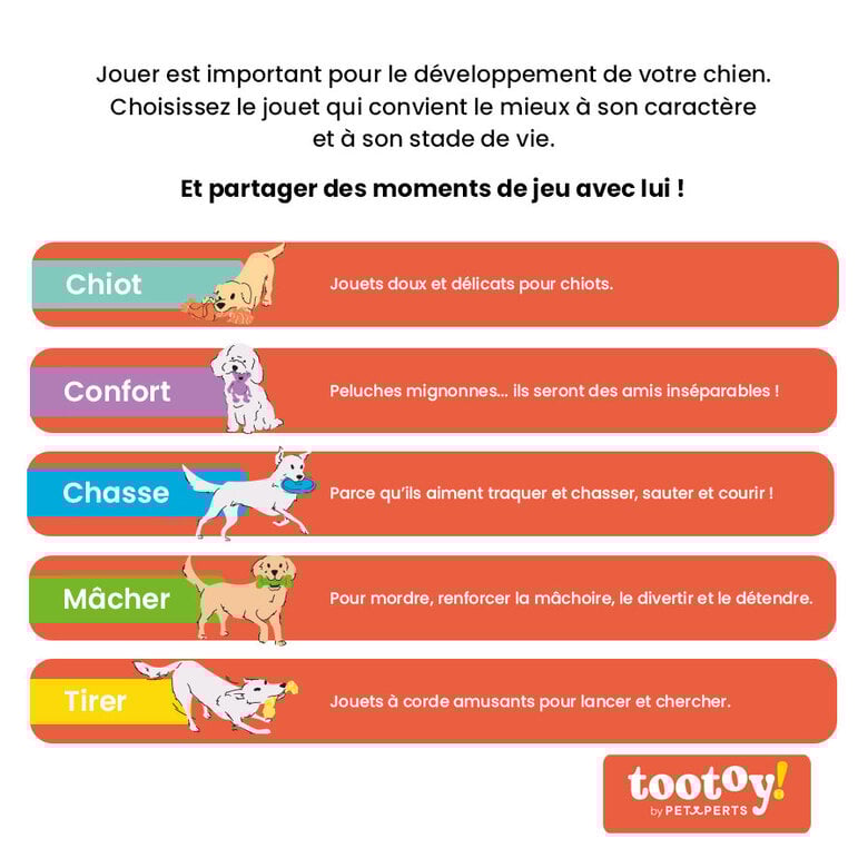 Tootoy! - Chiot Set Lama Image numéro 3 Tootoy! - Chiot Set Lama Image numéro 3