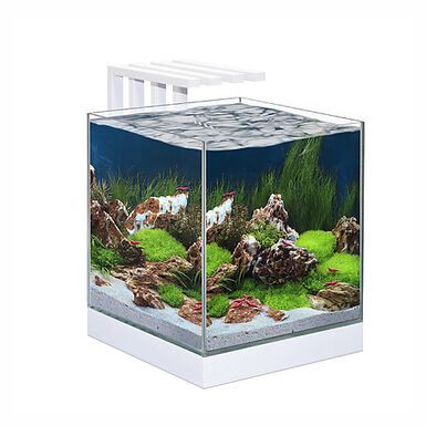 Ciano - Aquarium Nexus Design Équipé de LED + Filtre