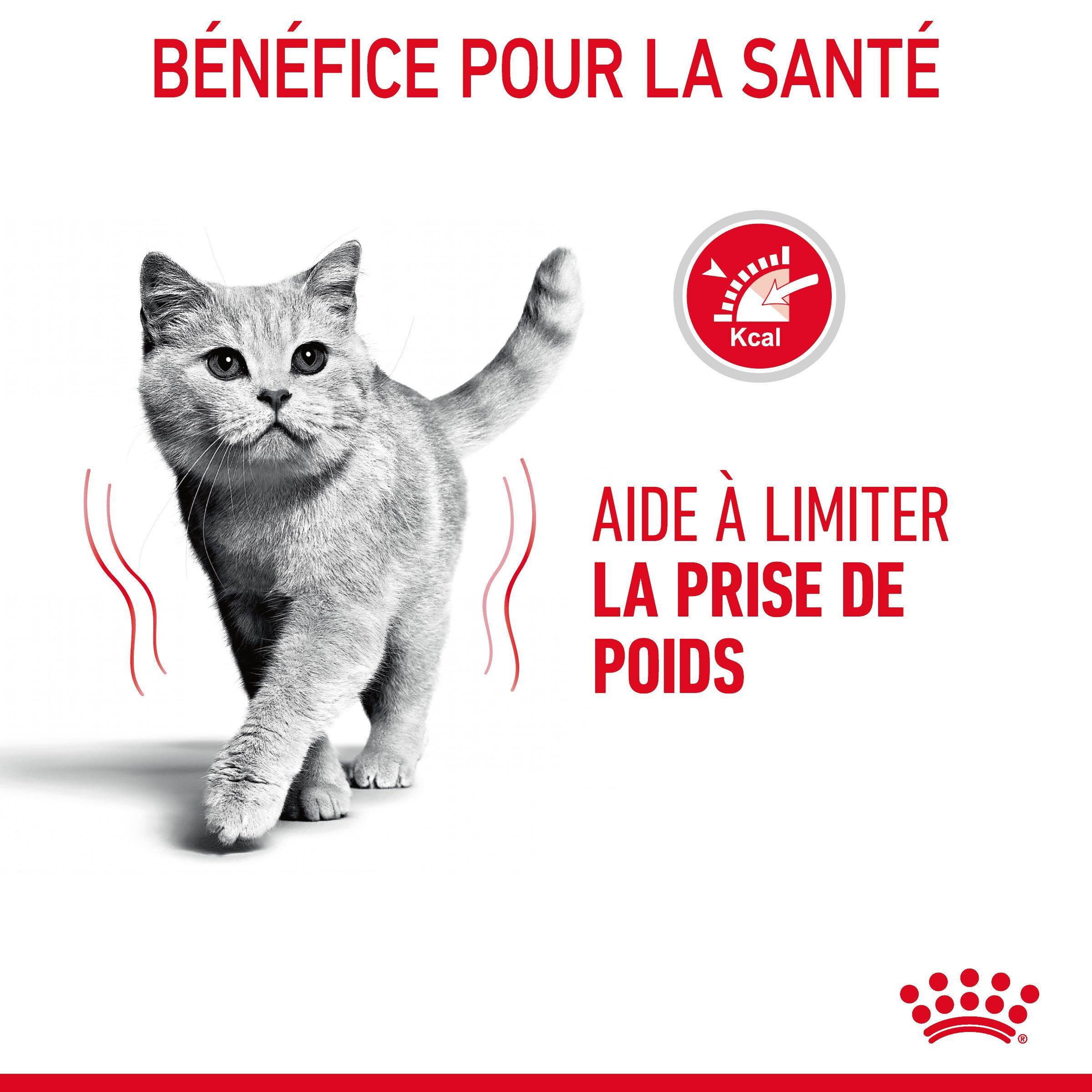 Royal Canin - Croquettes Light Weight Care pour Chat - 1,5Kg Image num&eacute;ro 4