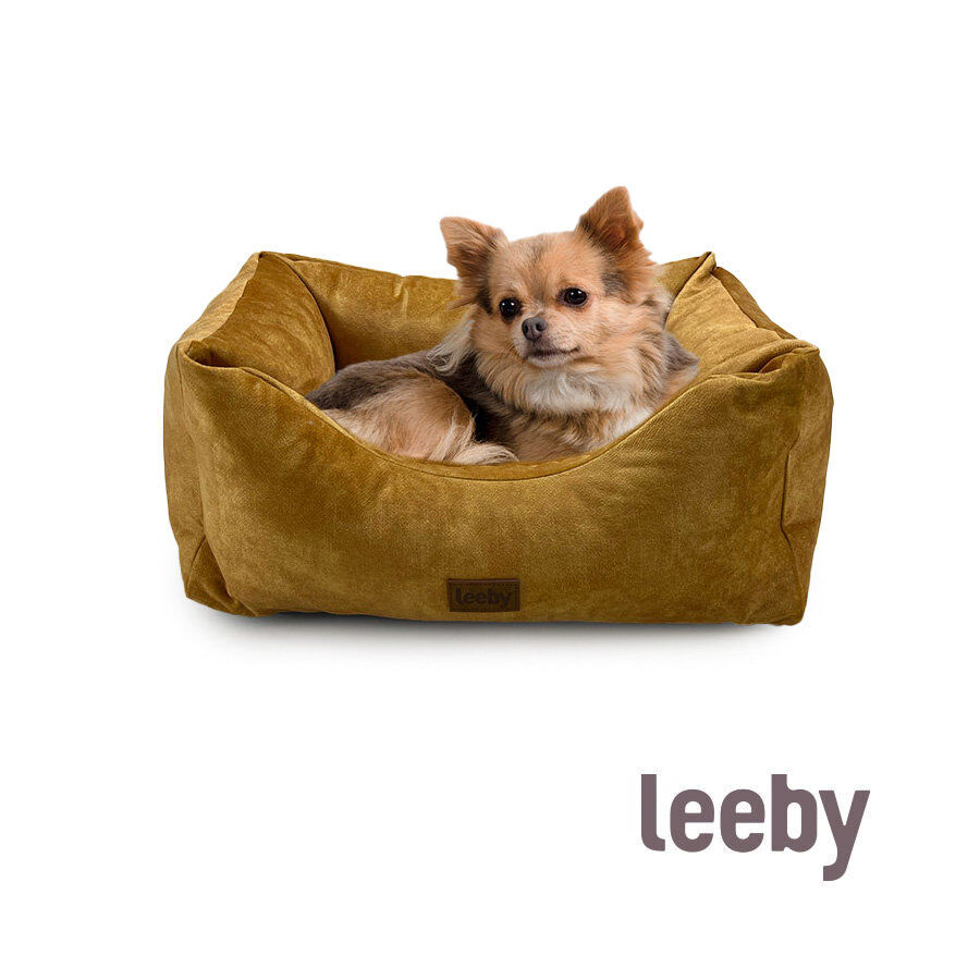 Leeby - Sofa Terra pour Chiens - S Image num&eacute;ro 3