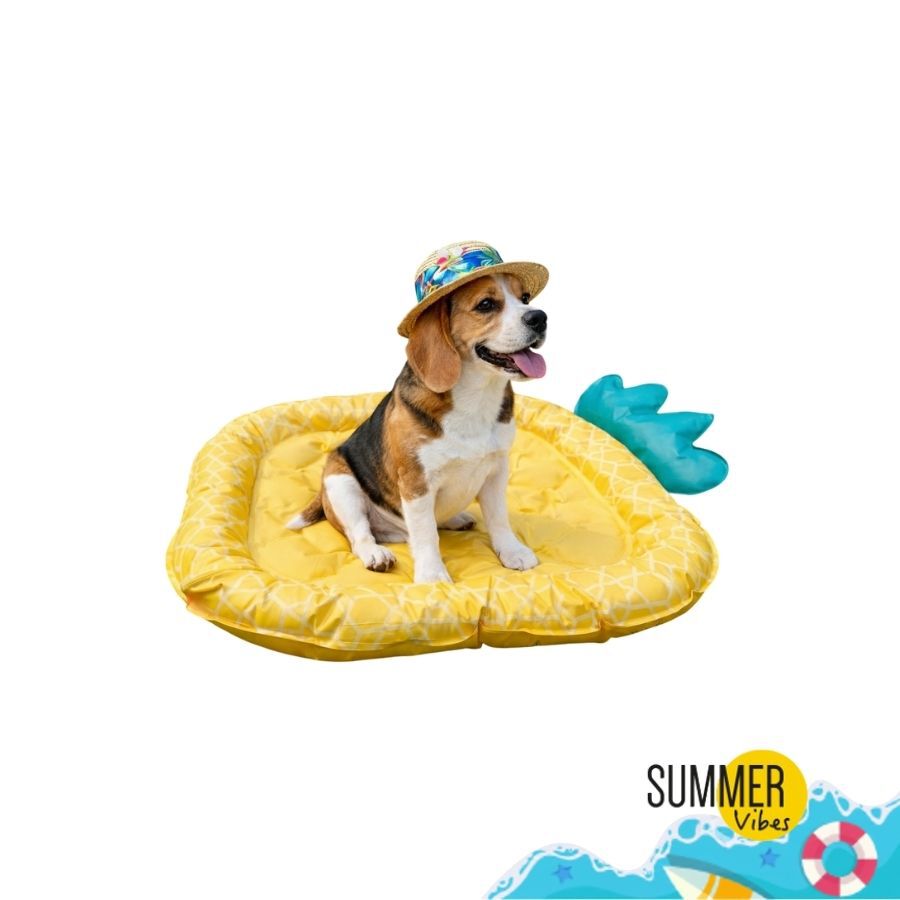 Summer Vibes - Tapis Rafraichissant Ananas pour Chiens - 66cm Image num&eacute;ro 1