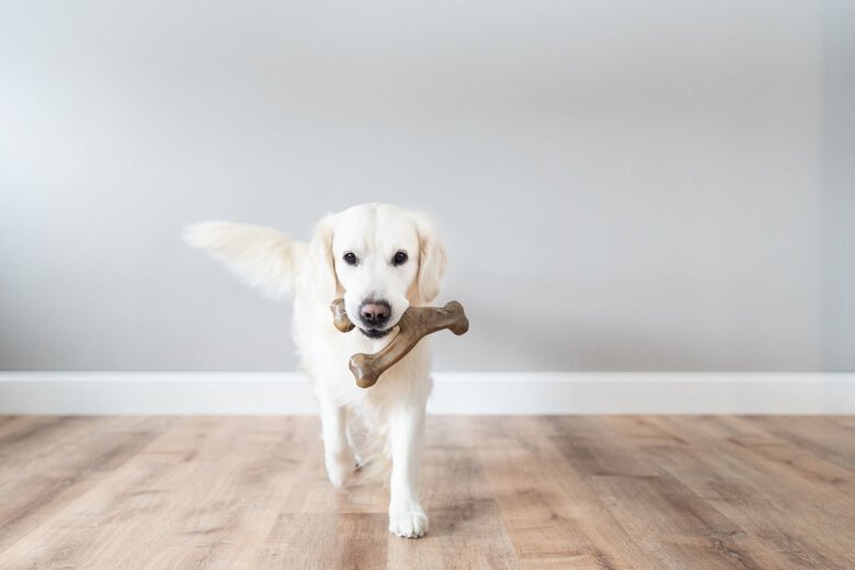 Benebone - Jouet Os A Macher Wishbone Bacon - S Image numéro 4 Benebone - Jouet Os A Macher Wishbone Bacon - S Image numéro 4