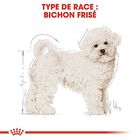 Royal Canin - Croquettes Bichon Frisé pour Chien Adulte - 1,5Kg image number null