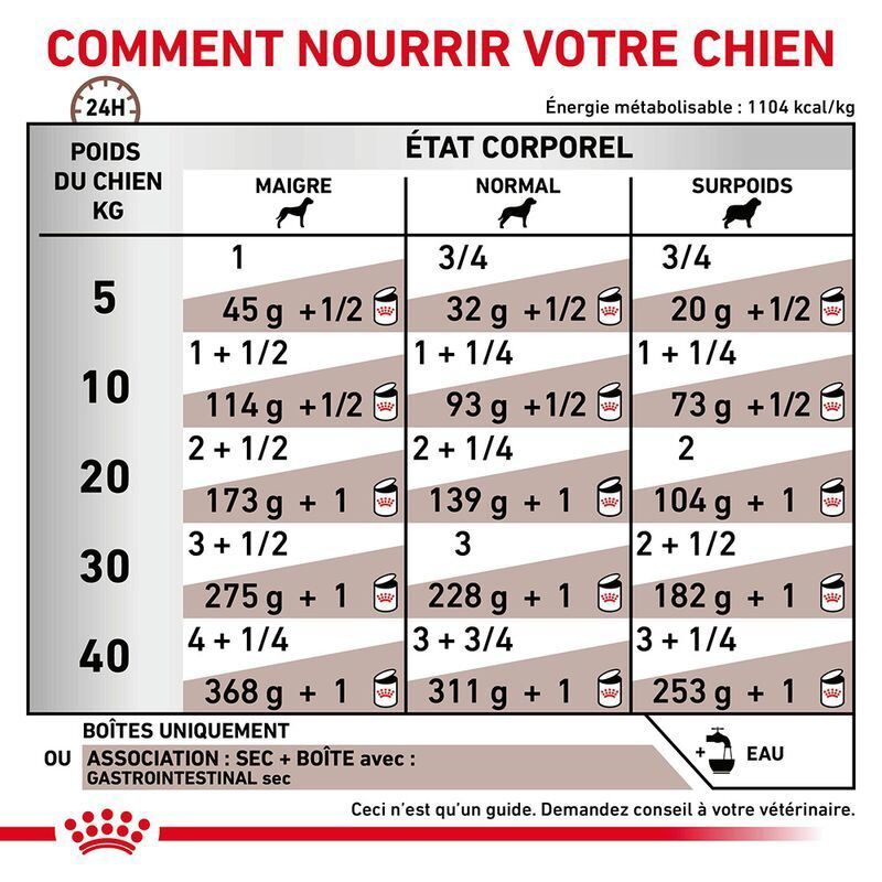 Royal Canin - Pat&eacute;e Veterinary Diet Gastrointestinal Pour Chiens - 12x400g Image num&eacute;ro 2