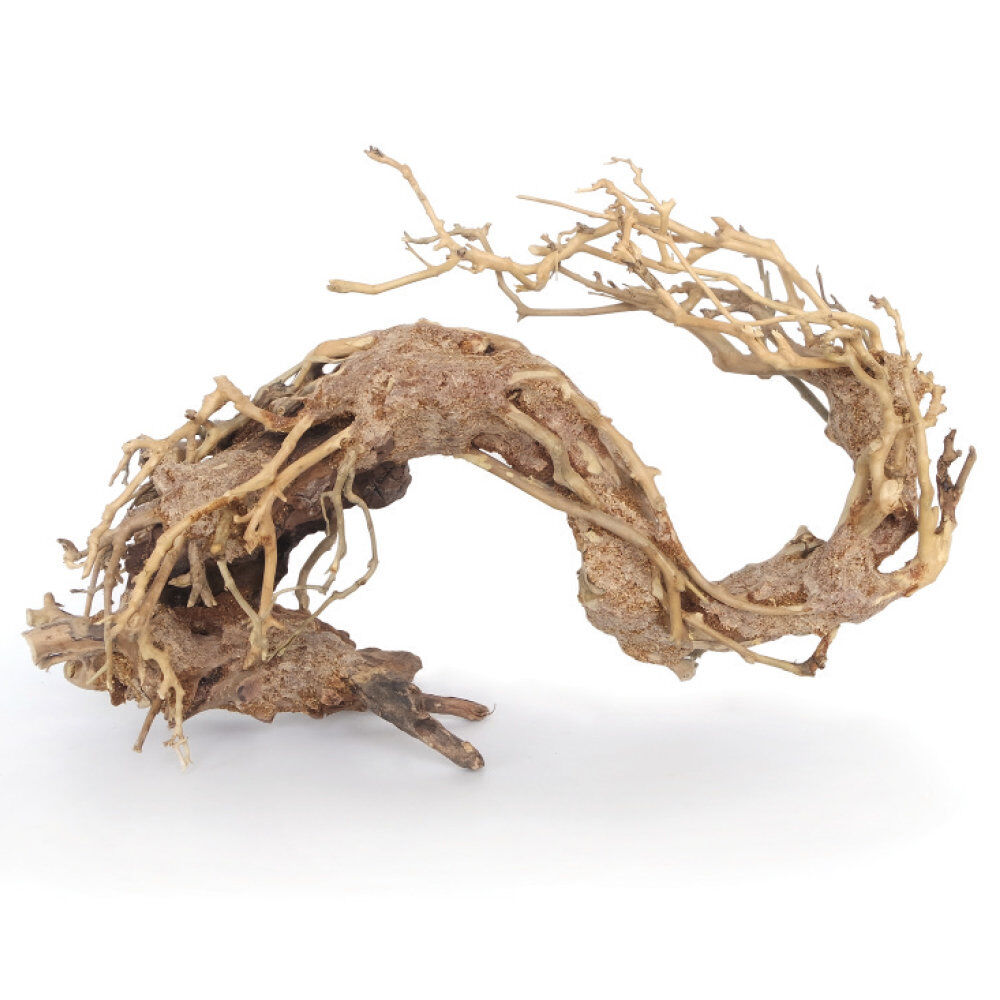 Amtra -  Racine Naturelle Oriental Wind 2 - S Image num&eacute;ro 1