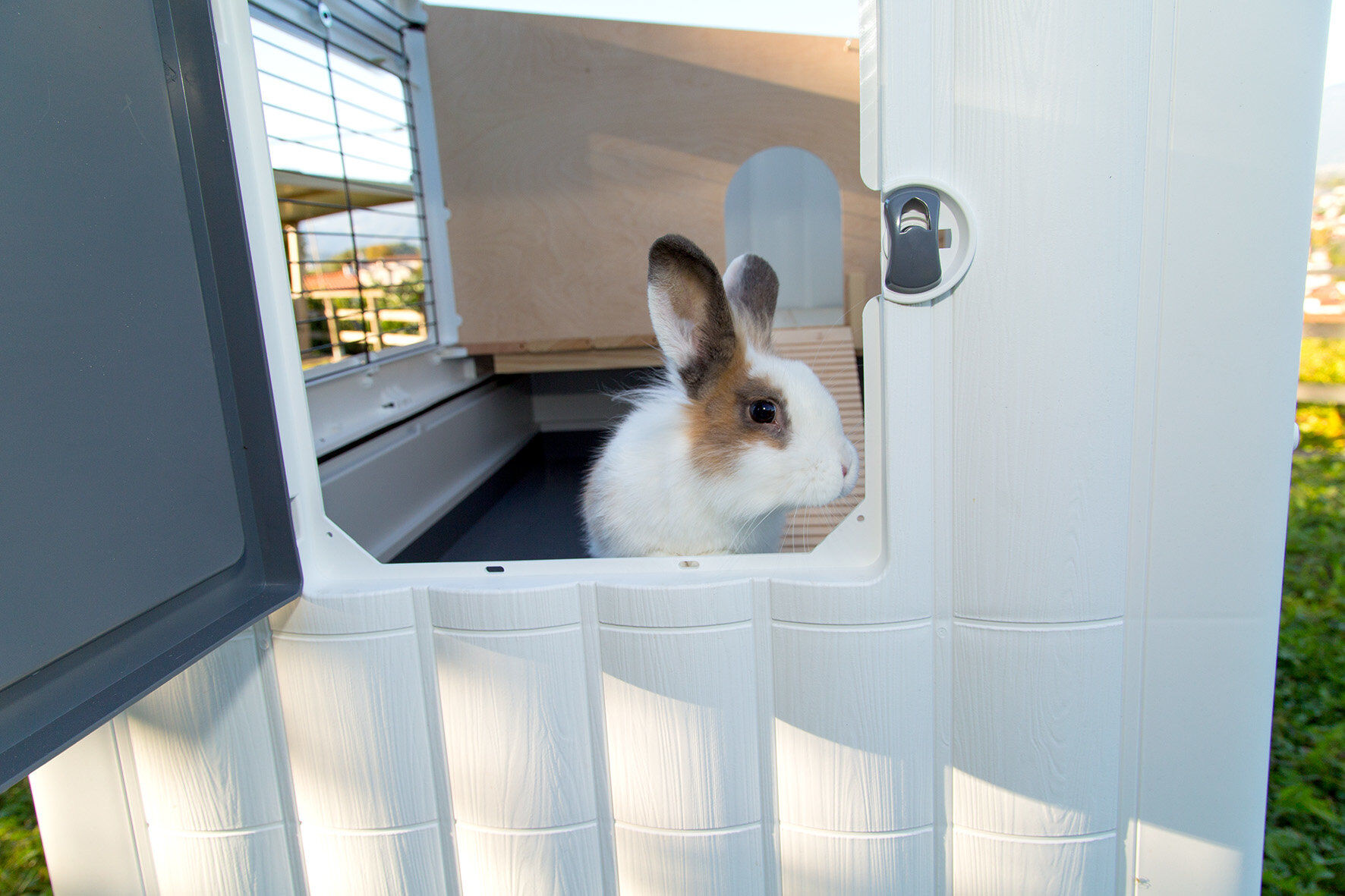 Ferplast - Clapier Grand Lodge Plus pour Rongeurs - 120 Image num&eacute;ro 14