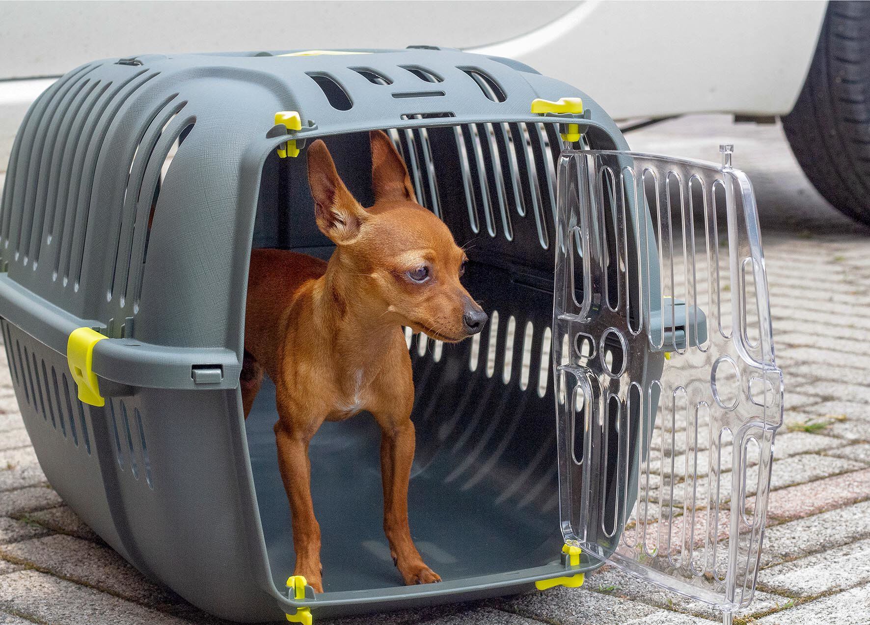 Ferplast - Panier de Transport JET 20 - Gris Image num&eacute;ro 4