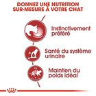 Royal Canin - Sachets Instinctive en Sauce pour Chat - 12x85g image number null