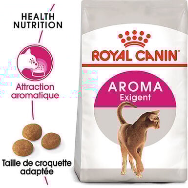 Royal Canin - Croquettes AROMA EXIGENT pour CHAT DIFFICILE - 4Kg