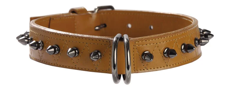 Bobby - Collier Hercule Camel pour Chiens - 30cm Image numéro 1 Bobby - Collier Hercule Camel pour Chiens - 30cm Image numéro 1