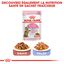 Royal Canin - Croquettes Kitten Sterilised pour Chaton - 2Kg Indicateur image numéro 6