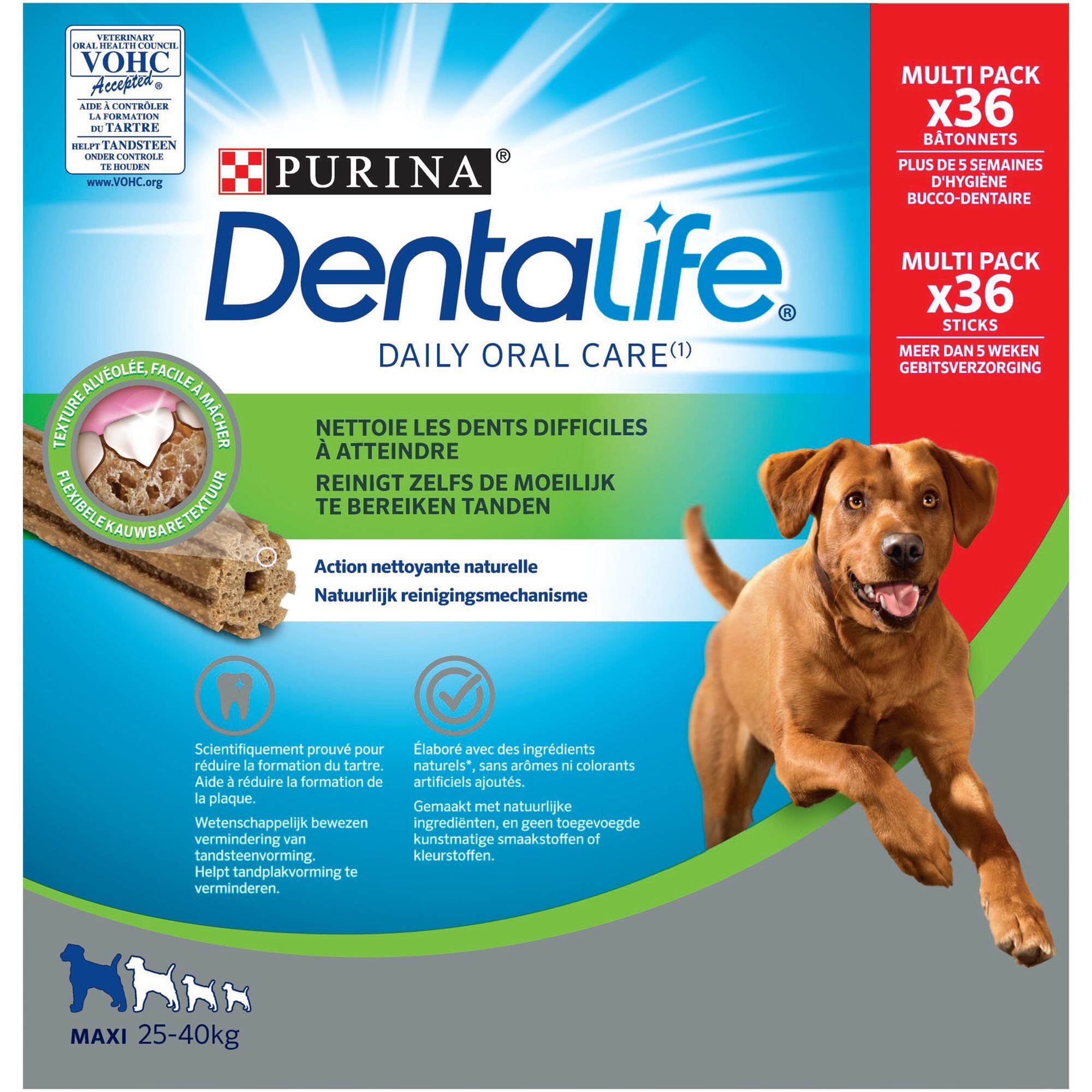 Dentalife - MultiPack B&acirc;tonnets &agrave; M&acirc;cher pour Chien de grande taille - 1272g Image num&eacute;ro 2