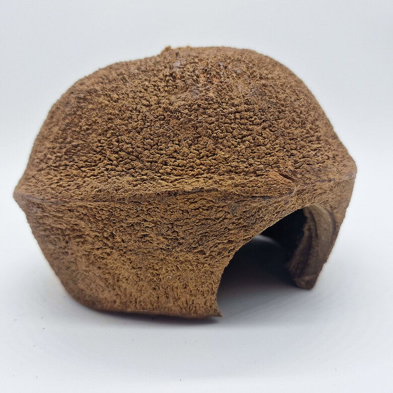 Eublepharis - Cachette Bilbo pour Reptiles - 20cm Image numéro 1 Eublepharis - Cachette Bilbo pour Reptiles - 20cm Image numéro 1