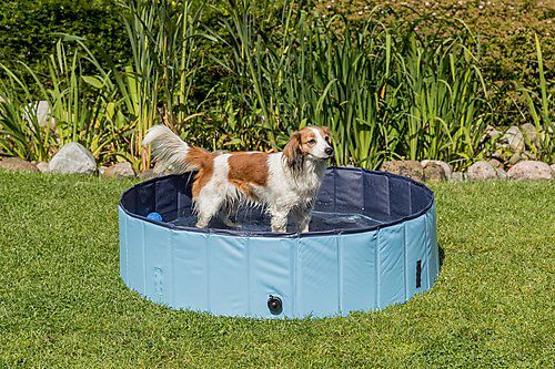 Trixie - Piscine Bleu pour Chien - 120 &times; 30 cm Image num&eacute;ro 3