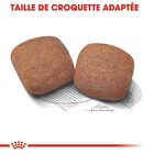 Royal Canin - Croquettes Giant Adult pour Chien - 15Kg image number null