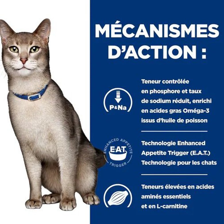 Hill's - Croquettes Prescription Diet K/D Kidney Care au Thon pour Chats - 3Kg Image numéro 4 Hill's - Croquettes Prescription Diet K/D Kidney Care au Thon pour Chats - 3Kg Image numéro 4