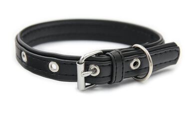 Matteo - Collier Cuir de Cactus Noir pour Chiens