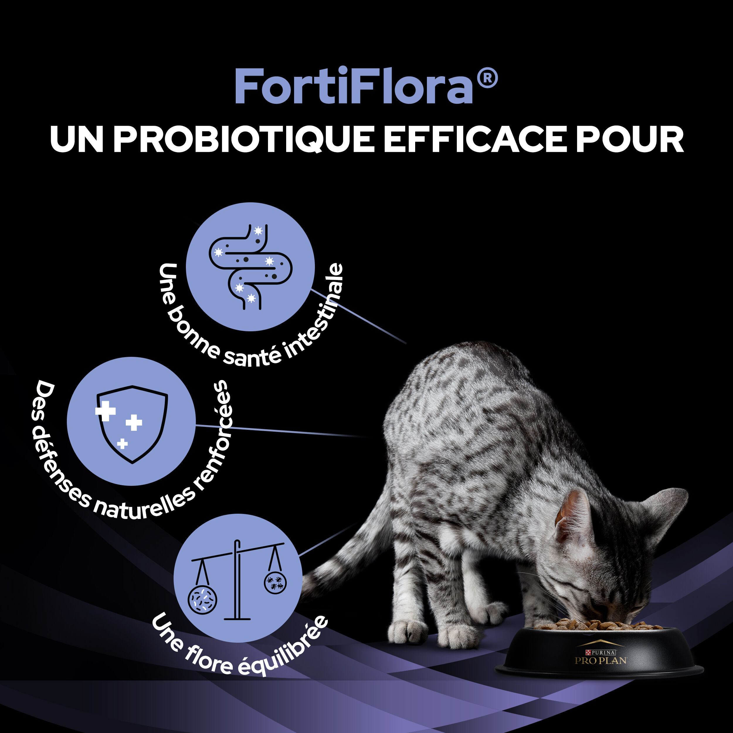 Pro Plan - Sachets FortiFlora Feline Probiotic pour Chats - x30 Image num&eacute;ro 6