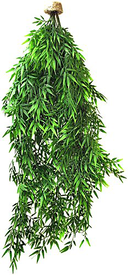 Labeo - Suspension Bambou Plante Artificielle Terrarium