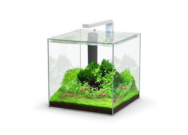 Aquatlantis - Aquarium Kubus 22L - Equipé