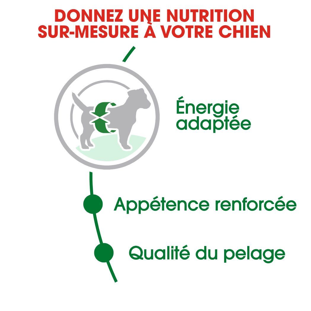 Royal Canin - Croquettes Mini Adult pour Chien de Petite Taille - 4Kg Image num&eacute;ro 3