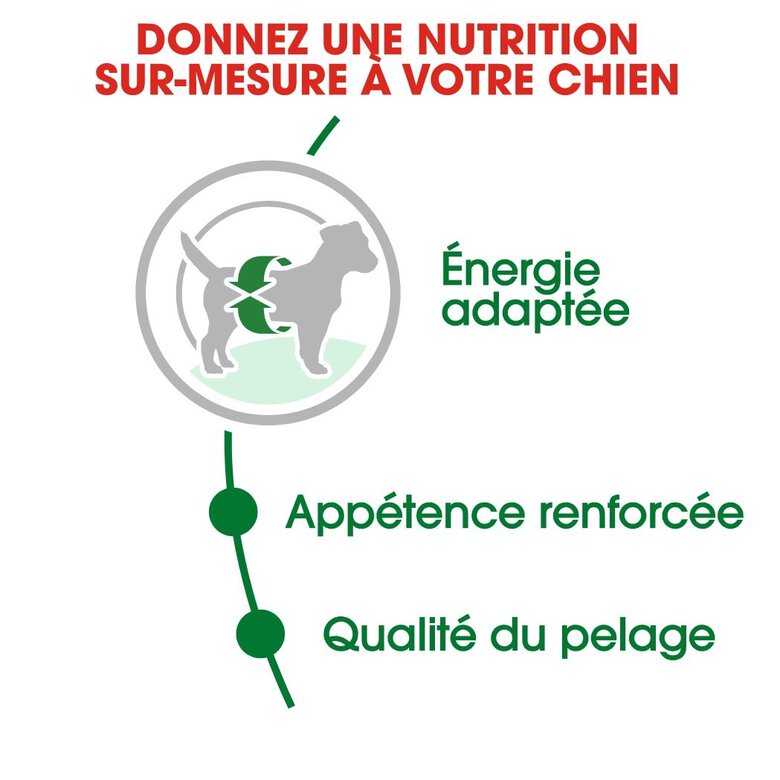 Royal Canin - Croquettes Mini Adult pour Chien de Petite Taille - 4Kg Image numéro 3 Royal Canin - Croquettes Mini Adult pour Chien de Petite Taille - 4Kg Image numéro 3