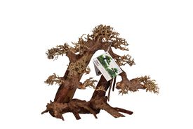 Aquavie - Décoration Bonsaï Nature pour Aquarium - XXL
