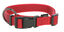 Goleygo - Ensemble Laisse Collier et Goupille Rouge pour Chien - M Indicateur image num&eacute;ro 3