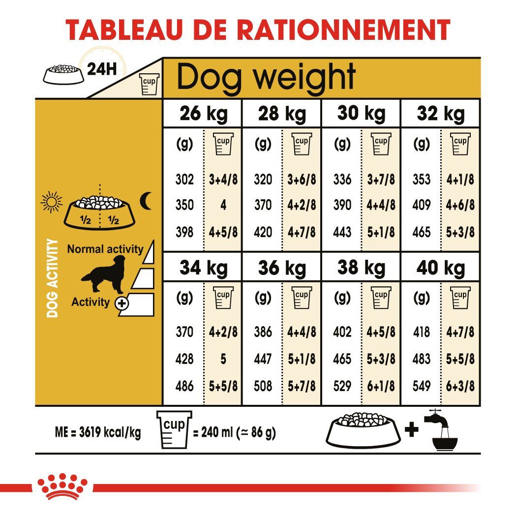 Royal Canin - Croquettes Golden Retriever pour Chien Adulte - 12Kg Image num&eacute;ro 6