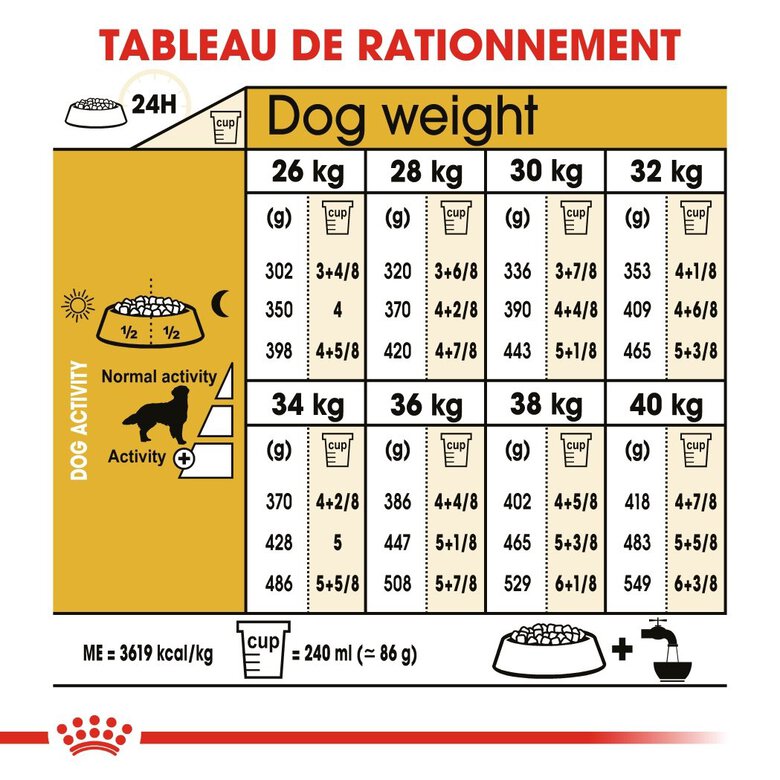 Royal Canin - Croquettes Golden Retriever pour Chien Adulte - 12Kg Image numéro 6 Royal Canin - Croquettes Golden Retriever pour Chien Adulte - 12Kg Image numéro 6
