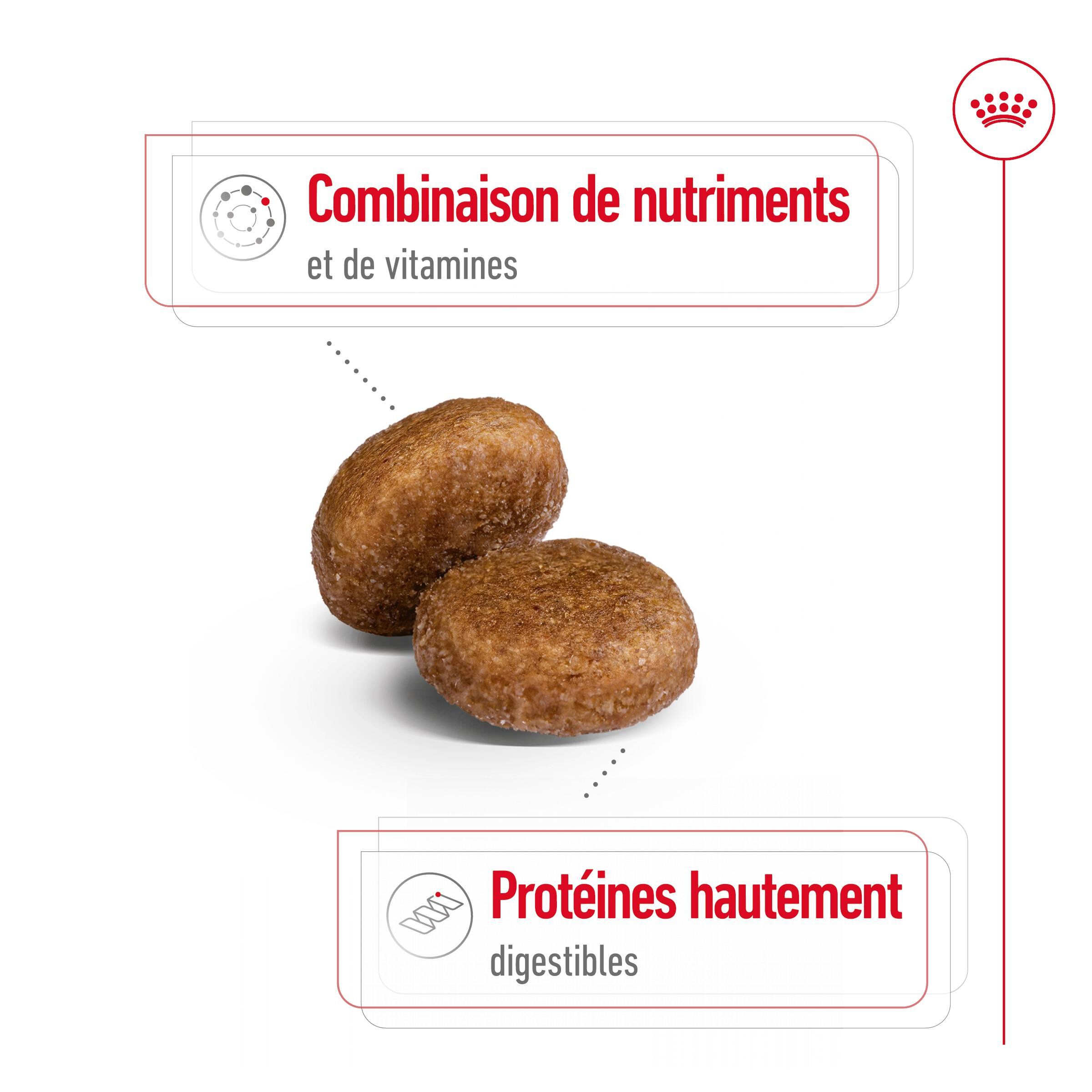 Royal Canin - Croquettes Maxi Adulte 5+ pour Chien Adulte - 15Kg Image num&eacute;ro 4