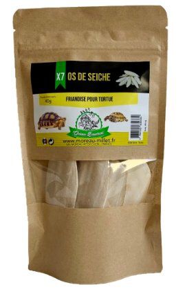 Octave Bauchant - Os de Seiche pour Tortue - x7 Image num&eacute;ro 1