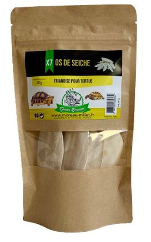 Octave Bauchant - Os de Seiche pour Tortue - x7 Image numéro 1 Octave Bauchant - Os de Seiche pour Tortue - x7 Image numéro 1