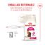 Royal Canin - Croquettes Fussy Exigent pour Chats Difficiles - 2Kg Indicateur image num&eacute;ro 4