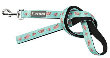 FuzzYard - Laisse Summer Punch pour Chien - S