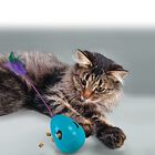 KONG - Jouet Distributeur Tippin pour Chat image number null