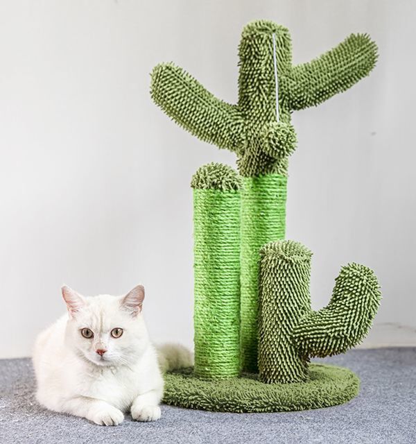 Animalis - Griffoir Cactus pour Chats - 40x40x63cm Image num&eacute;ro 2