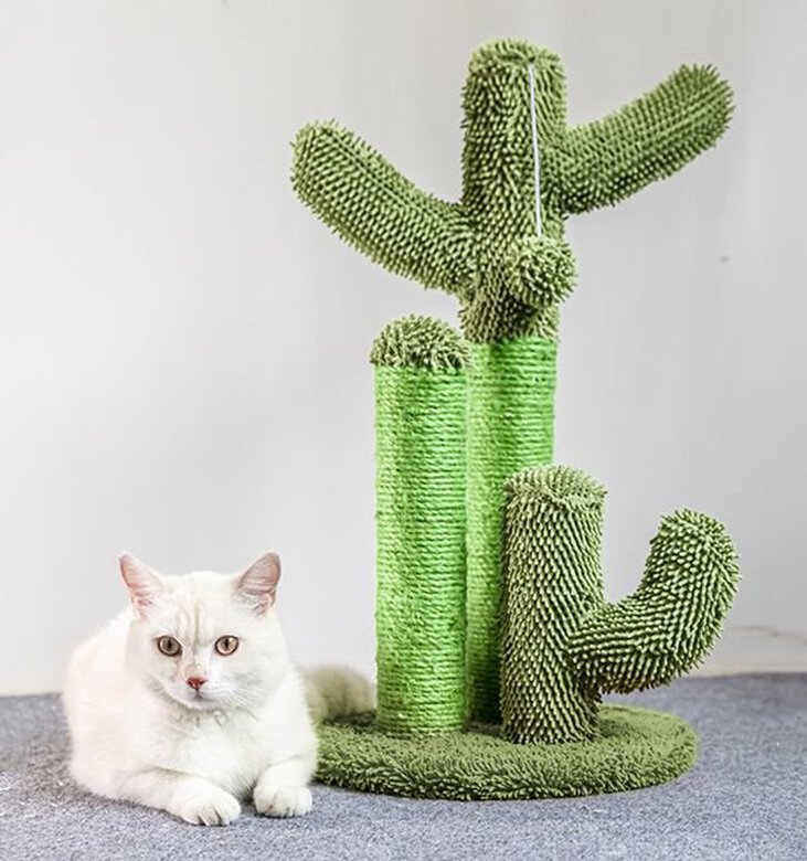 Animalis - Griffoir Cactus pour Chats - 40x40x63cm Image numéro 2 Animalis - Griffoir Cactus pour Chats - 40x40x63cm Image numéro 2