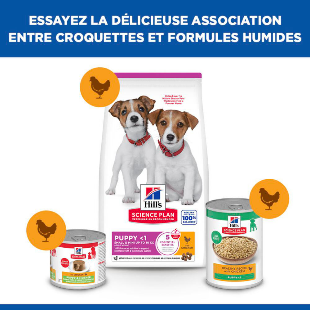Hill's Science Plan - Puppy Small & Mini Croquettes Pour Chiot De Petite Taille Au Poulet  -  1,5kg Image num&eacute;ro 12