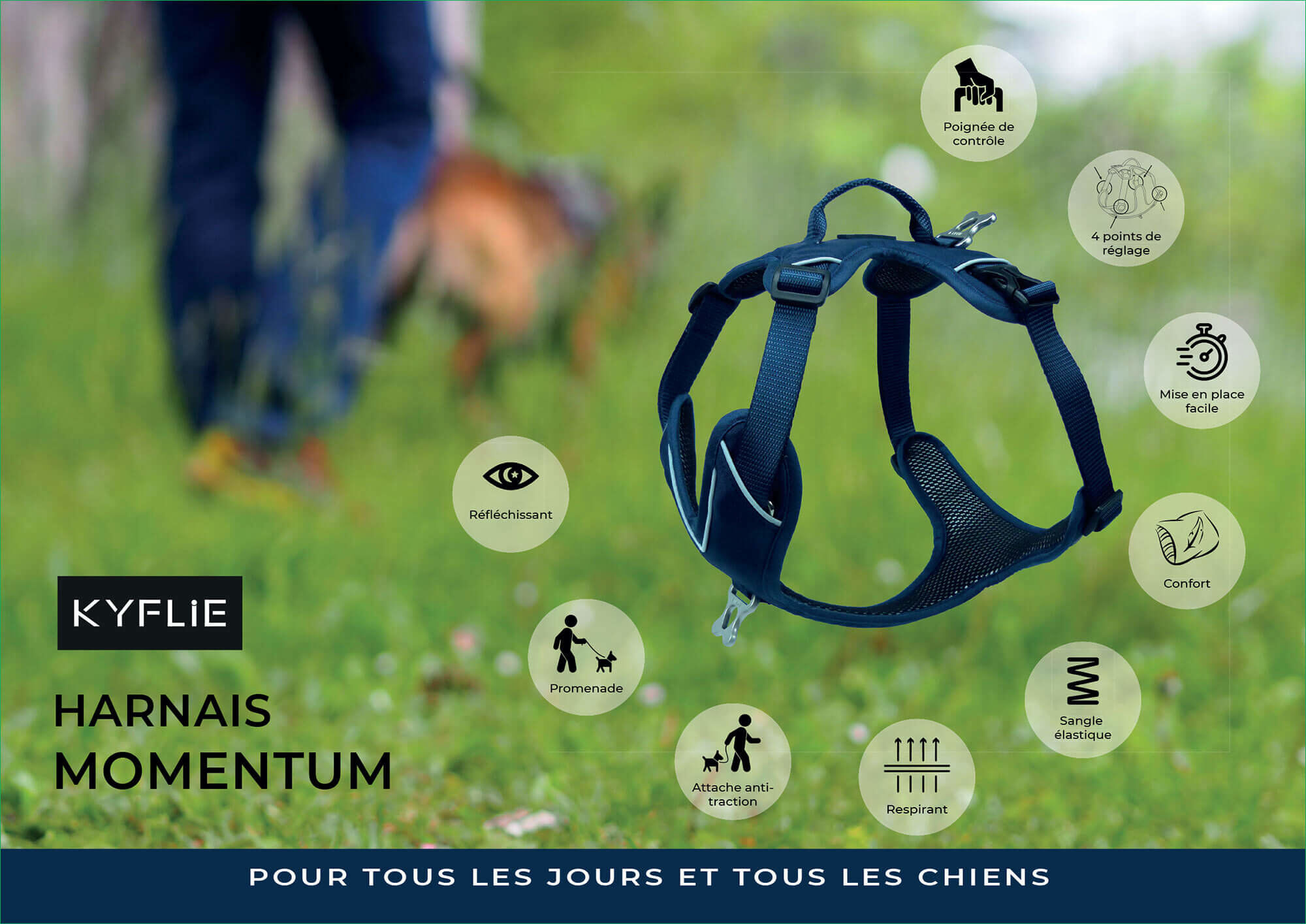 Kyflie - Harnais de promenade MOMENTUM Rouge pour Chien - M Image num&eacute;ro 4