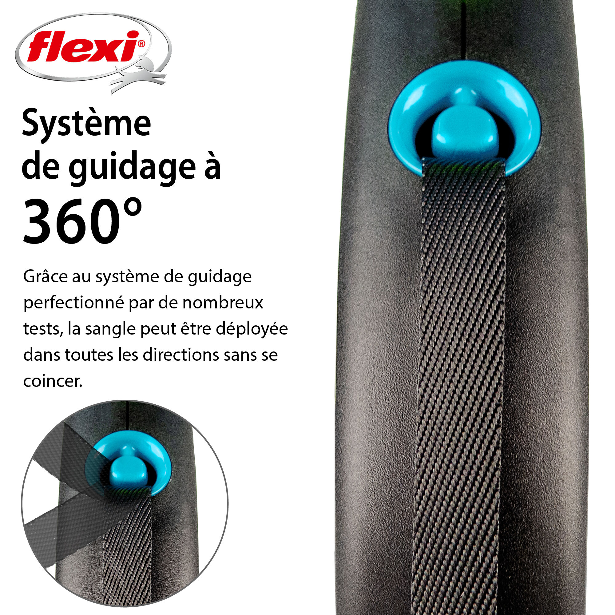 Flexi - Laisse &agrave; Enrouleur Black Design M Sangle - 5m Noir/Bleu Image num&eacute;ro 2